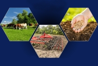 Министерство сельского хозяйства Республики Абхазия объявляет открытый тендер на закупку сельскохозяйственных животных и товаров для организации производства сельскохозяйственной продукции.