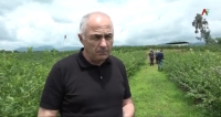 Первый Вице- премьер, министр сельского хозяйства Республики Абхазии Б.Джопуа совершил инспекционные поездки по хозяйствам участников ведомственной целевой программы «Развитие сельского хозяйства в 2022 году» (ВИДЕОРЕПОРТАЖ)