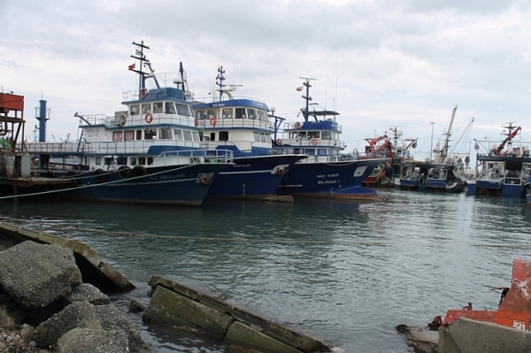 Рыбная отрасль в Абхазии: сегодня и завтра