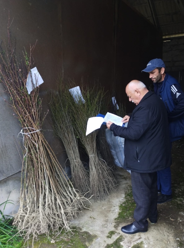 Реализация ведомственной программы