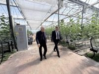 Вице -премьер и министр сельского хозяйства посетили сельхоз предприятия