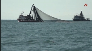 Зимне-весенняя путина рыбы