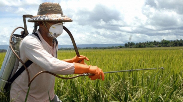 ОБЪЯВЛЕНИЕ